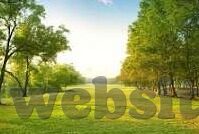 2018欧洲最新伦理片-2018年欧洲伦理片新风尚，深度与温度的交织
