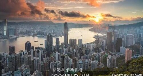 大象传媒官方网站进入-探索大象传媒官方网站，创意与信息的交汇点