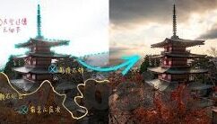 大象传媒集团-大象传媒集团，重塑媒体生态的领航者