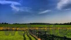 果冻传媒91传媒在线观看-探索果冻传媒与91传媒，在线观看的多元化娱乐体验