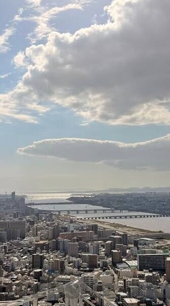 糖心app官方下载旧版本-重温经典，糖心app官方下载旧版本——时光里的美好回忆