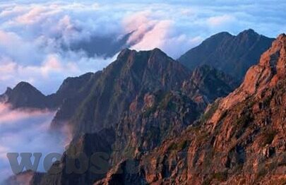 糖心app会员账号-深度揭秘，畅享糖心APP会员体验之旅