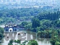 糖心app免费版安卓-重塑数字娱乐新境界，糖心app免费版安卓深度体验