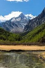 糖心app苹果版免费-揭秘糖心app苹果版免费下载的真实面貌与风险