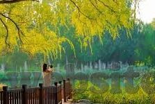 糖心app普通版-揭秘糖心APP普通版，理性看待社交新体验